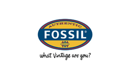 優質合作伙伴FOSSIL 精密角度滾珠開關
